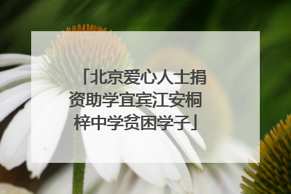 北京爱心人士捐资助学宜宾江安桐梓中学贫困学子
