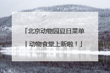 北京动物园夏日菜单丨动物食堂上新啦！