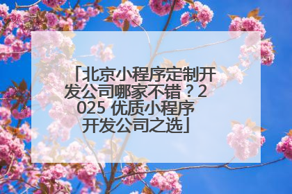 北京小程序定制开发公司哪家不错？2025 优质小程序开发公司之选