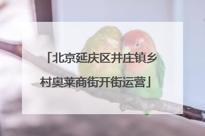 北京延庆区井庄镇乡村奥莱商街开街运营