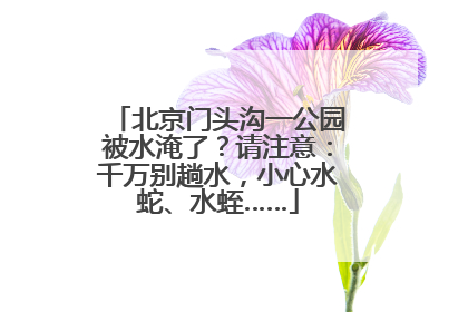 北京门头沟一公园被水淹了？请注意：千万别趟水，小心水蛇、水蛭……