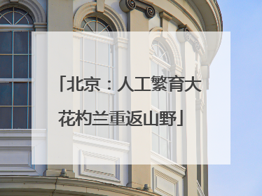 北京：人工繁育大花杓兰重返山野