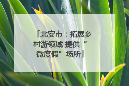 北安市：拓展乡村游领域 提供“微度假”场所