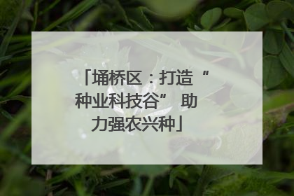 埇桥区：打造“种业科技谷” 助力强农兴种