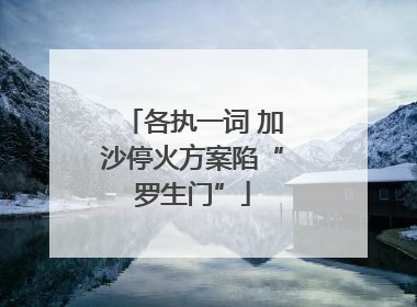 各执一词 加沙停火方案陷“罗生门”