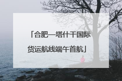 合肥—塔什干国际货运航线端午首航