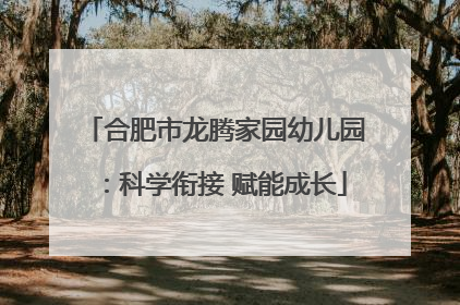 合肥市龙腾家园幼儿园：科学衔接 赋能成长
