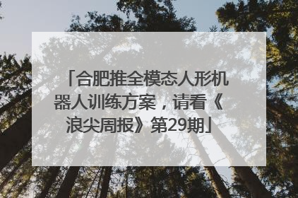 合肥推全模态人形机器人训练方案，请看《浪尖周报》第29期