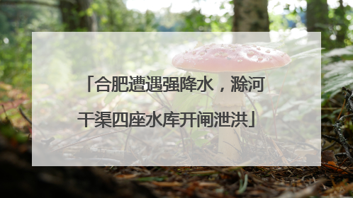 合肥遭遇强降水，滁河干渠四座水库开闸泄洪