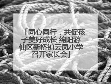 同心同行，共促孩子美好成长 绵阳游仙区新桥镇云凤小学召开家长会
