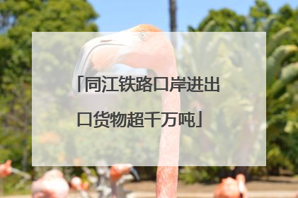 同江铁路口岸进出口货物超千万吨