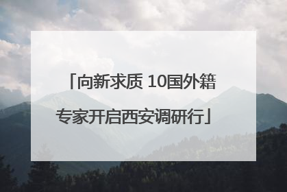 向新求质 10国外籍专家开启西安调研行