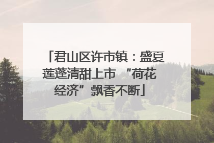 君山区许市镇：盛夏莲蓬清甜上市 “荷花经济”飘香不断