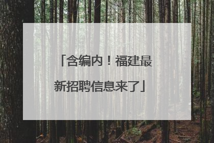 含编内！福建最新招聘信息来了