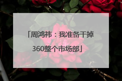 周鸿祎：我准备干掉360整个市场部
