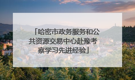 哈密市政务服务和公共资源交易中心赴豫考察学习先进经验