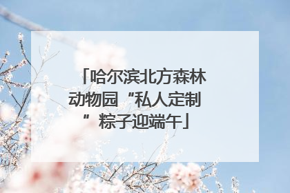 哈尔滨北方森林动物园“私人定制”粽子迎端午