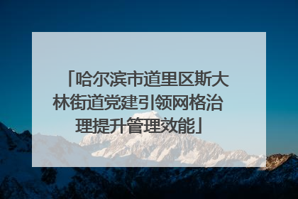 哈尔滨市道里区斯大林街道党建引领网格治理提升管理效能