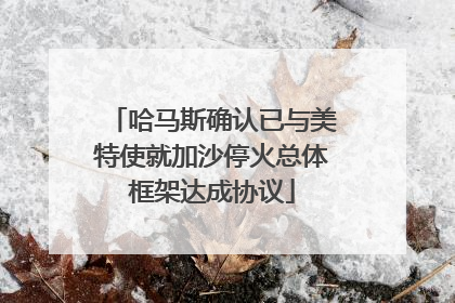 哈马斯确认已与美特使就加沙停火总体框架达成协议