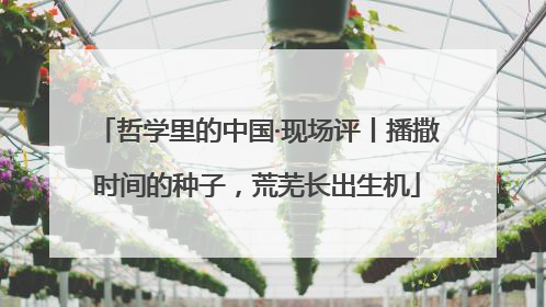哲学里的中国·现场评丨播撒时间的种子，荒芜长出生机