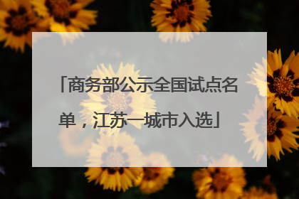 商务部公示全国试点名单，江苏一城市入选