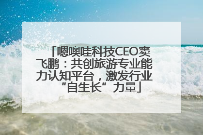 嗯噢哇科技CEO窦飞鹏：共创旅游专业能力认知平台，激发行业“自生长”力量