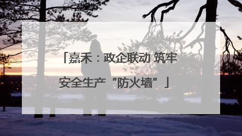 嘉禾：政企联动 筑牢安全生产“防火墙”