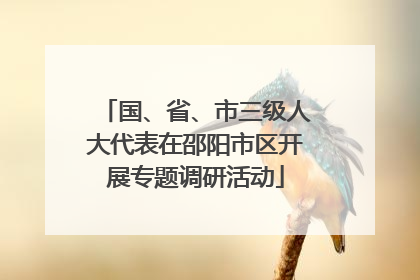 国、省、市三级人大代表在邵阳市区开展专题调研活动
