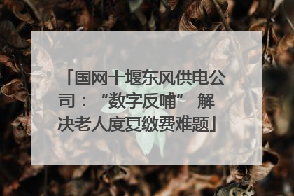 国网十堰东风供电公司：“数字反哺” 解决老人度夏缴费难题