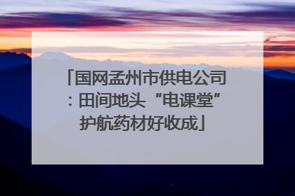 国网孟州市供电公司：田间地头“电课堂”  护航药材好收成