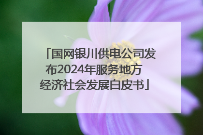 国网银川供电公司发布2024年服务地方经济社会发展白皮书