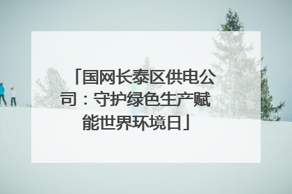 国网长泰区供电公司：守护绿色生产赋能世界环境日
