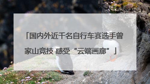 国内外近千名自行车赛选手曾家山竞技 感受“云端画廊”