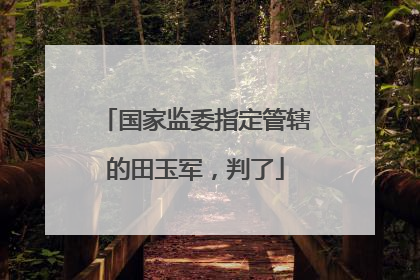 国家监委指定管辖的田玉军，判了