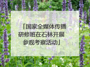国家全媒体传播研修班在石林开展参观考察活动