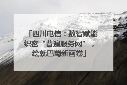 四川电信：数智赋能织密“普遍服务网”，绘就巴蜀新画卷