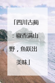 四川古蔺：椒香满山野，鱼跃出美味