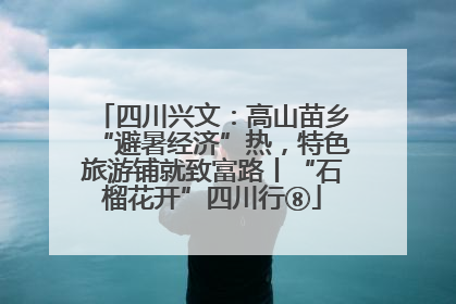 四川兴文：高山苗乡“避暑经济”热，特色旅游铺就致富路丨“石榴花开”四川行⑧