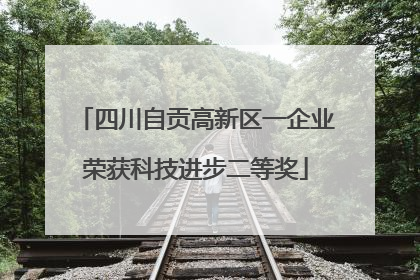 四川自贡高新区一企业荣获科技进步二等奖