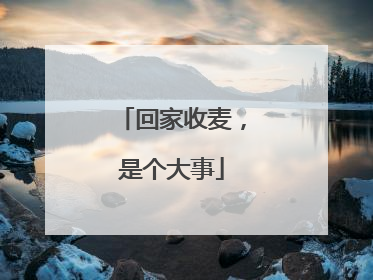 回家收麦，是个大事