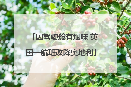 因驾驶舱有烟味 英国一航班改降奥地利