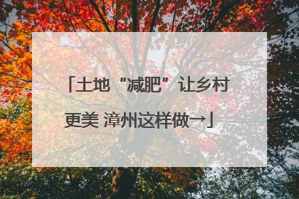 土地“减肥”让乡村更美 漳州这样做→