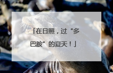 在日照，过“多巴胺”的夏天！
