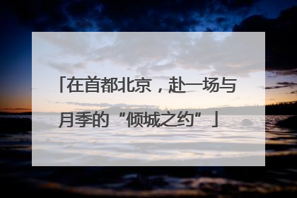 在首都北京，赴一场与月季的“倾城之约”