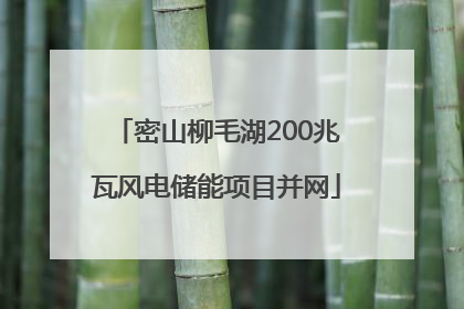 密山柳毛湖200兆瓦风电储能项目并网