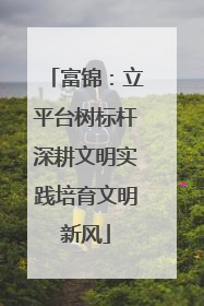 富锦：立平台树标杆深耕文明实践培育文明新风