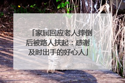 家属回应老人摔倒后被路人扶起：感谢及时出手的好心人