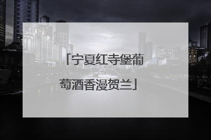 宁夏红寺堡葡萄酒香漫贺兰