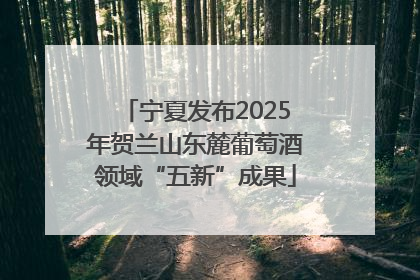 宁夏发布2025年贺兰山东麓葡萄酒领域“五新”成果