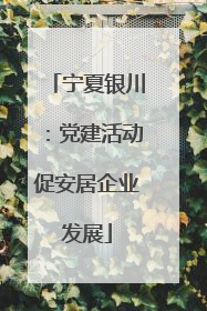 宁夏银川：党建活动促安居企业发展